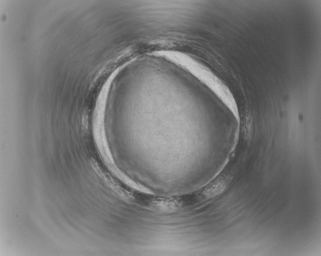 X0000051880466200507151917