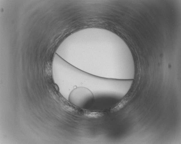 X0000051880467200507151917