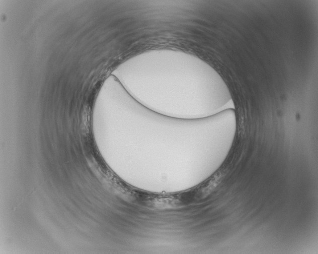 X0000051880468200507151917