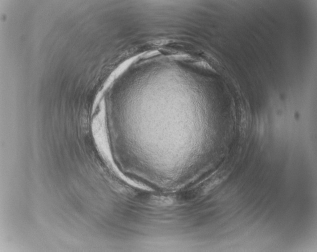 X0000051880469200507151917