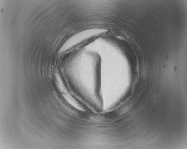 X0000051880470200507151917