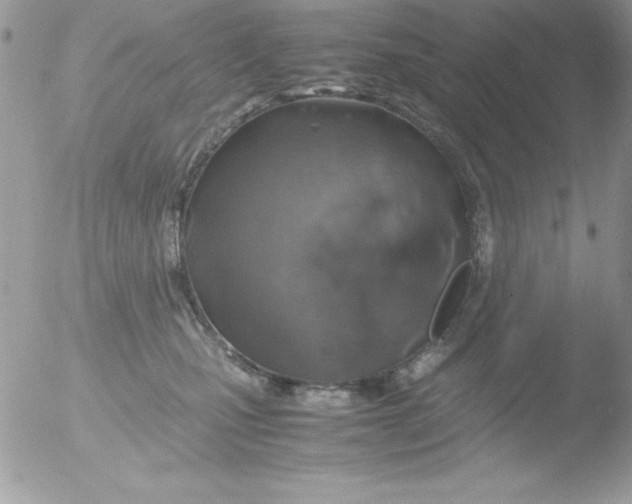 X0000051880471200507151917