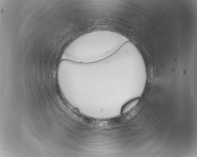 X0000051880472200507151917