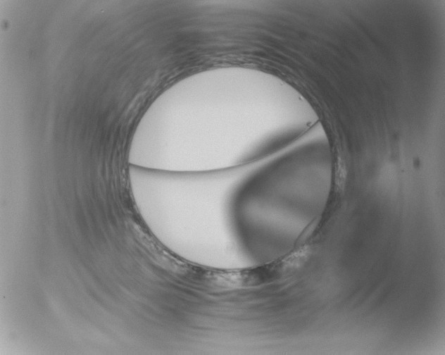 X0000051880473200507151917