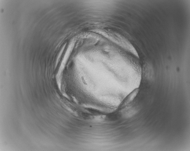 X0000051880474200507151917