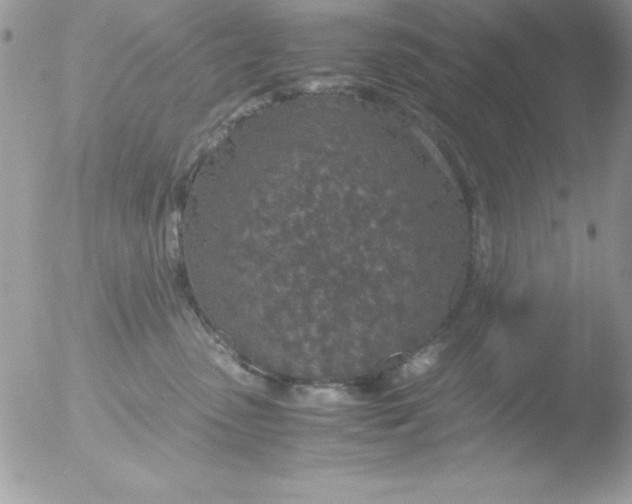 X0000051880475200507151917