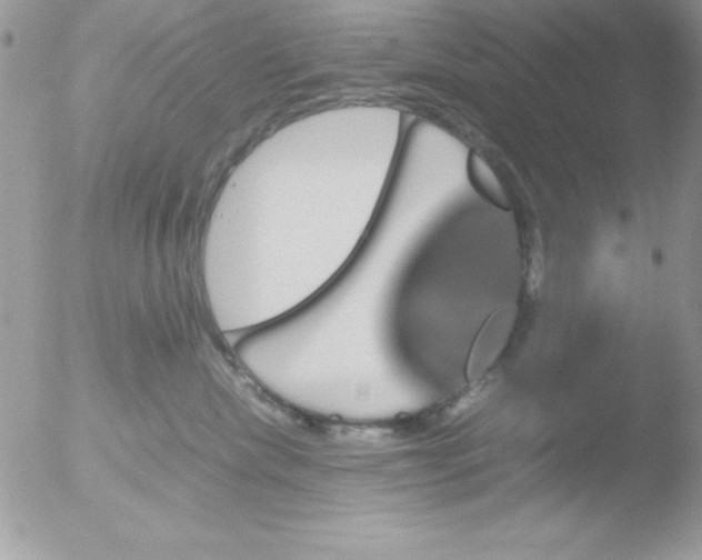 X0000051880476200507151917