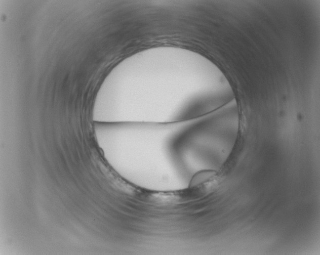 X0000051880477200507151917