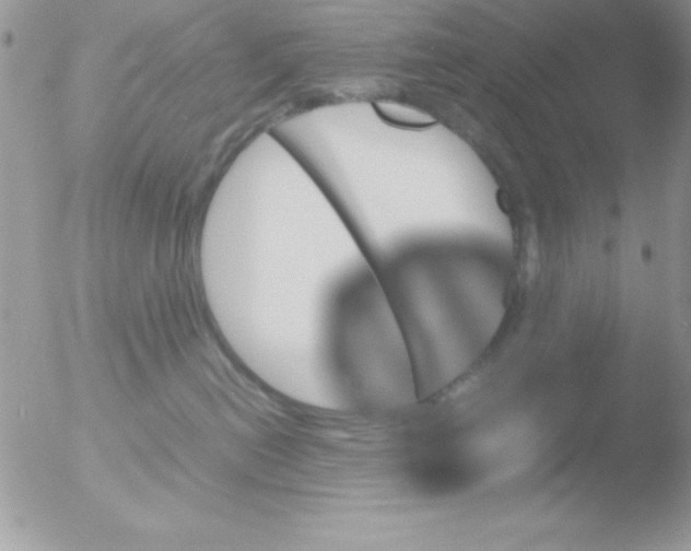 X0000051880478200507151917