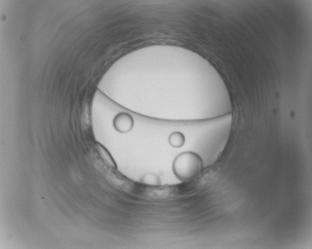 X0000051880479200507151917