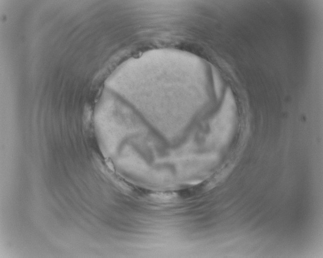 X0000051880480200507151917