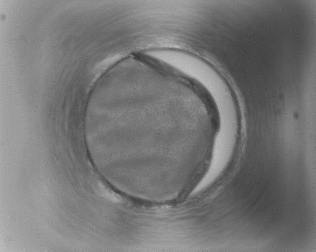 X0000051880481200507151916