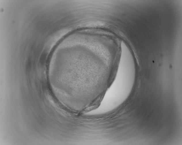 X0000051880483200507151916