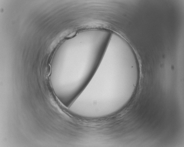 X0000051880485200507151916