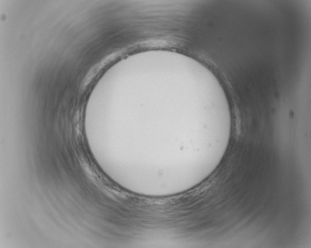 X0000051880486200507151916