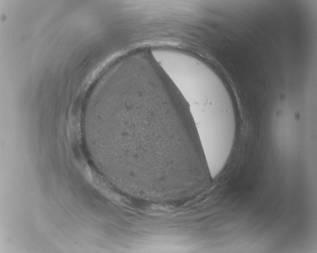 X0000051880487200507151916