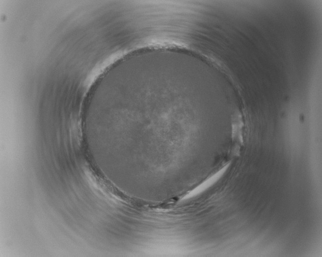 X0000051880488200507151916