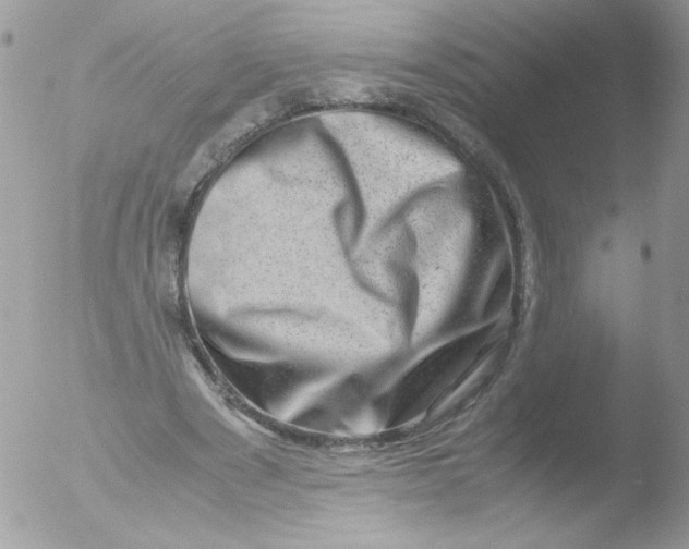 X0000051880489200507151916