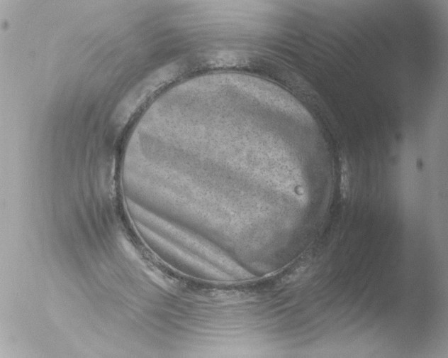 X0000051880490200507151916