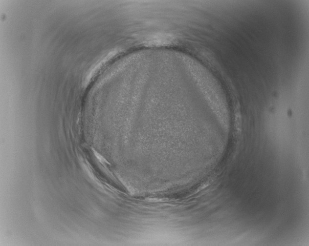 X0000051880491200507151916