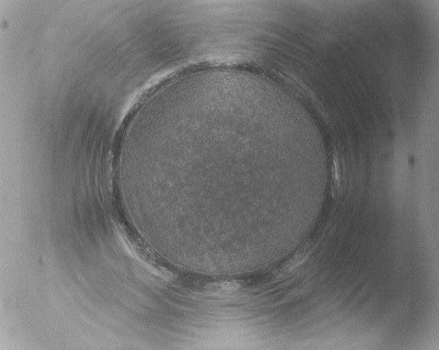 X0000051880492200507151916