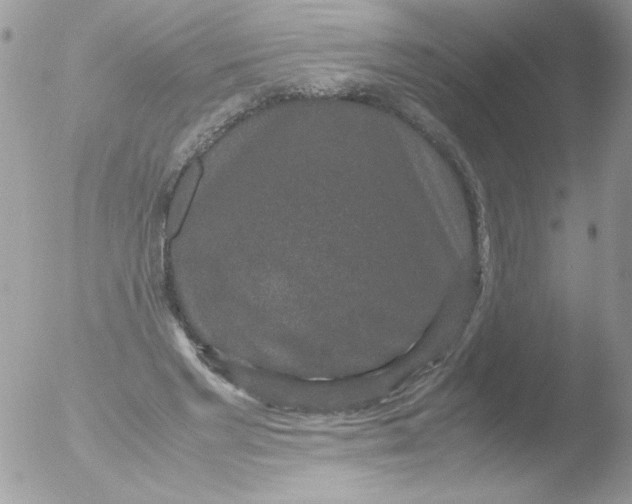 X0000051880493200507151916