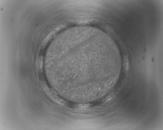 X0000051880495200507151916