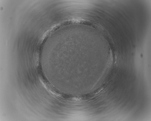 X0000051880496200507151916