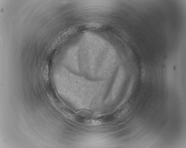 X0000051880498200507151916