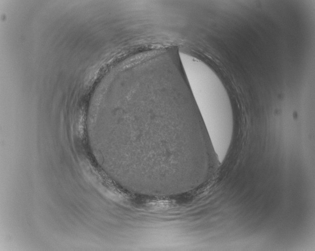 X0000051880499200507151916