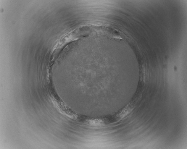 X0000051880500200507151916