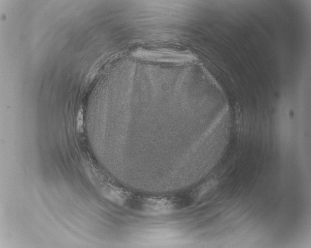 X0000051880502200507151916