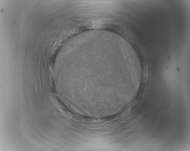 X0000051880503200507151916