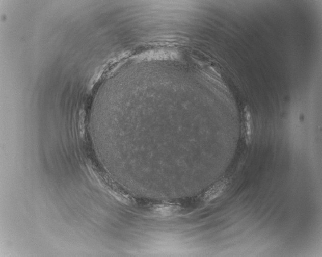 X0000051880504200507151916