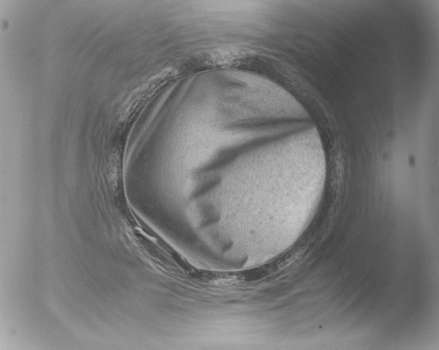 X0000051880505200507151916