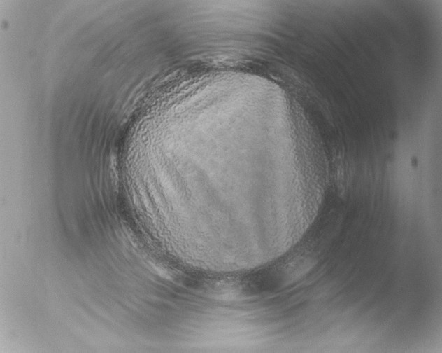 X0000051880506200507151916