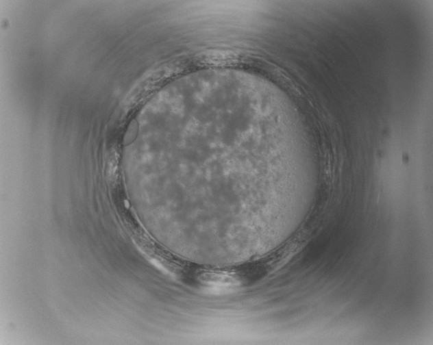 X0000051880507200507151916