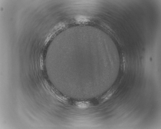 X0000051880508200507151916