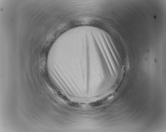 X0000051880509200507151916