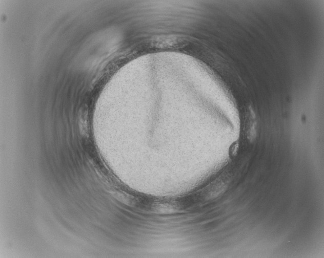 X0000051880510200507151916