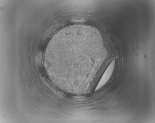 X0000051880511200507151916