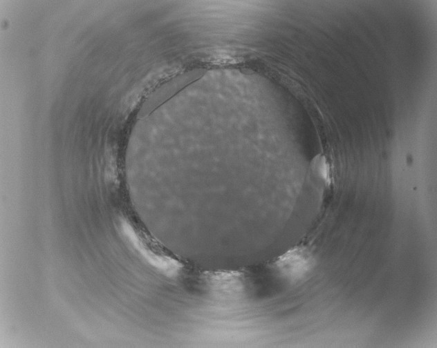 X0000051880512200507151916