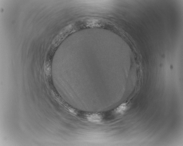 X0000051880513200507151916