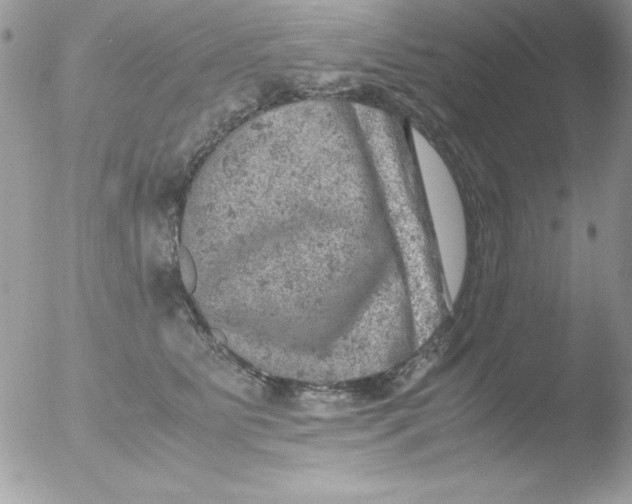 X0000051880515200507151916