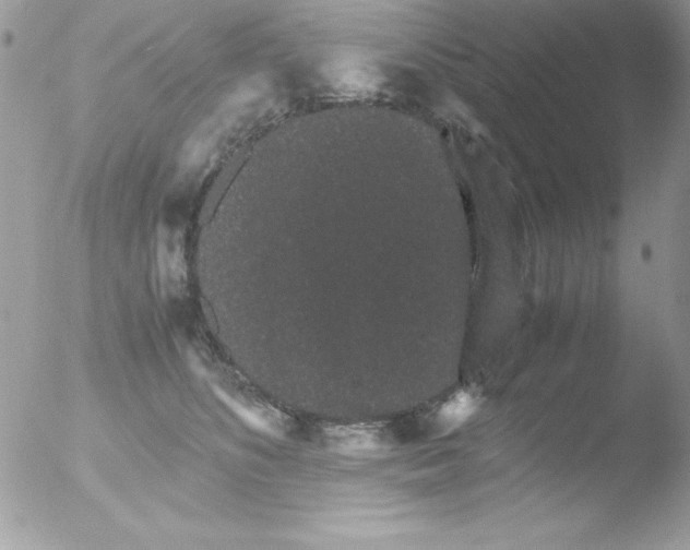 X0000051880516200507151916