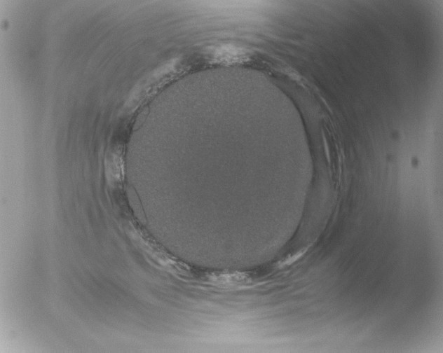 X0000051880517200507151916