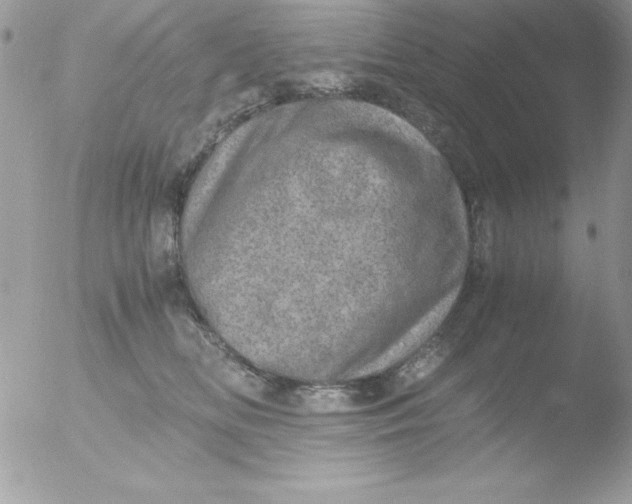 X0000051880518200507151916