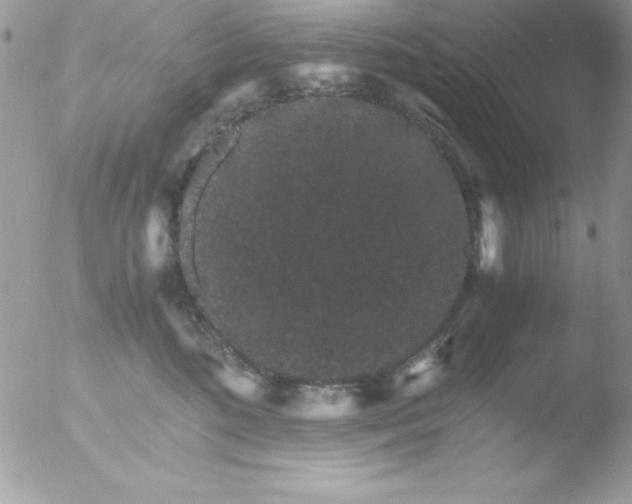 X0000051880520200507151916