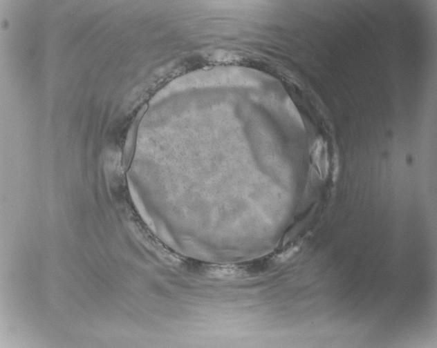 X0000051880521200507151916