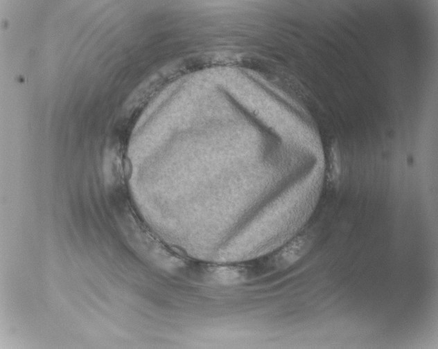 X0000051880522200507151916